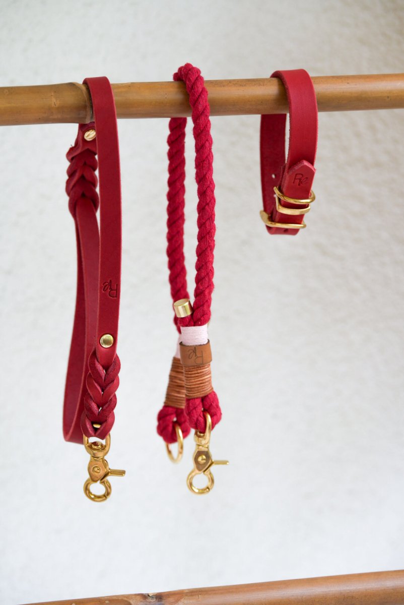 Mix & Match Set | Handschlaufe + Halsband Biothane & Unterteil Baumwollseil | COLOUR CLASH - RudisRudel