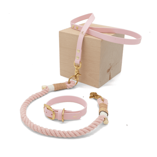 Mix & Match Set | Handschlaufe + Halsband Biothane & Unterteil Baumwollseil | PASTEL DREAMS - RudisRudel