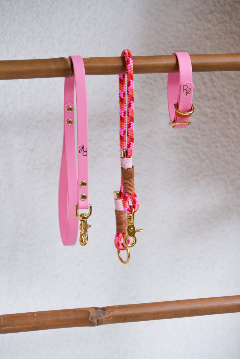 Mix & Match Set | Handschlaufe + Halsband Biothane & Unterteil Tauseil | COLOUR CLASH - RudisRudel