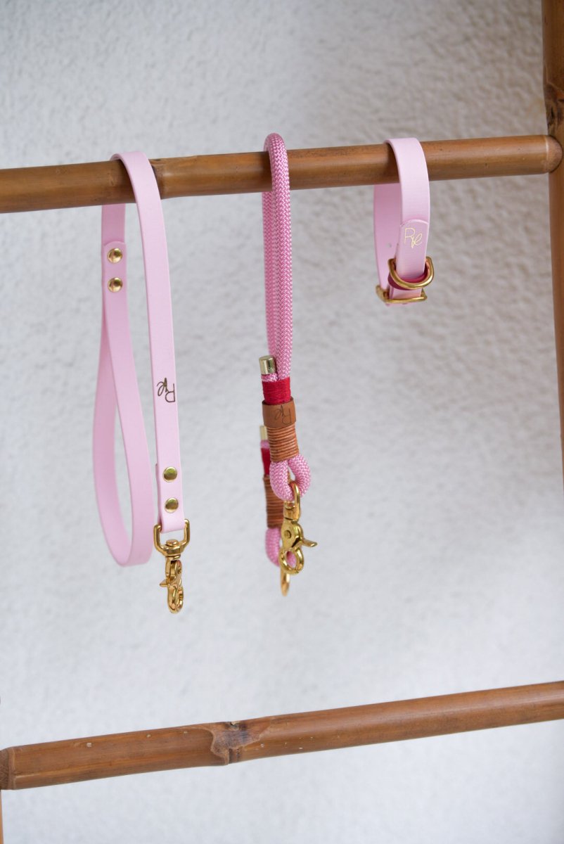 Mix & Match Set | Handschlaufe + Halsband Biothane & Unterteil Tauseil | COLOUR CLASH - RudisRudel