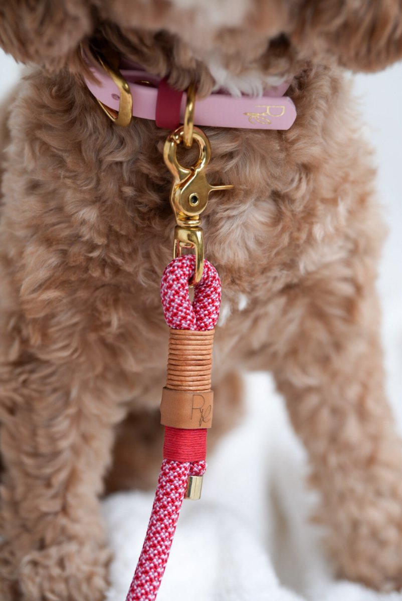 Mix & Match Set | Handschlaufe + Halsband Biothane & Unterteil Tauseil | COLOUR CLASH - RudisRudel
