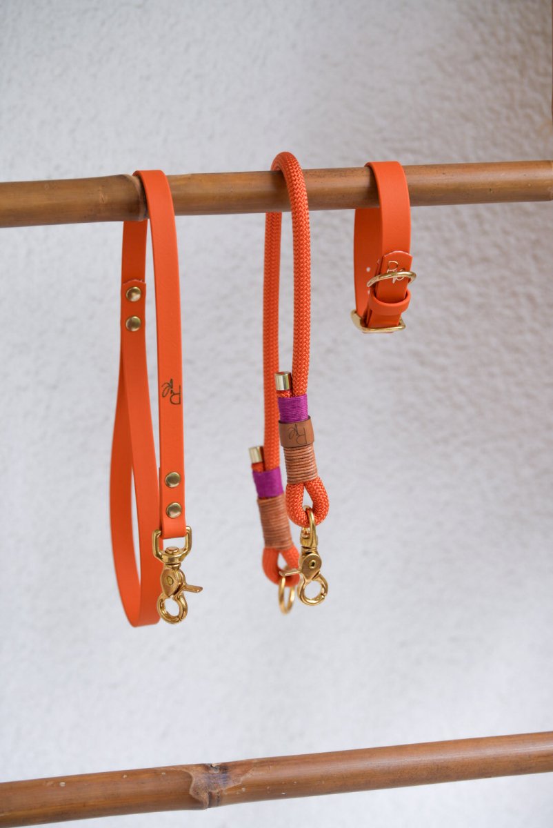 Mix & Match Set | Handschlaufe + Halsband Biothane & Unterteil Tauseil | COLOUR CLASH - RudisRudel