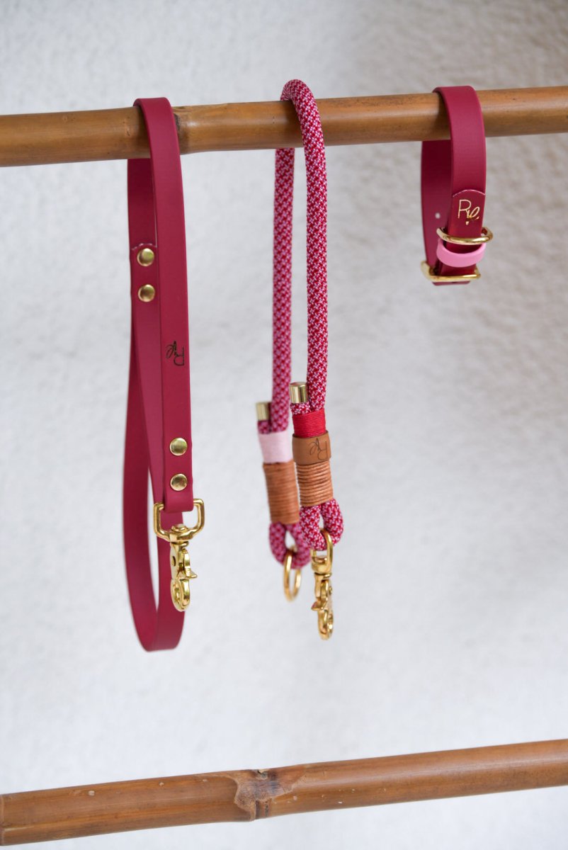 Mix & Match Set | Handschlaufe + Halsband Biothane & Unterteil Tauseil | COLOUR CLASH - RudisRudel