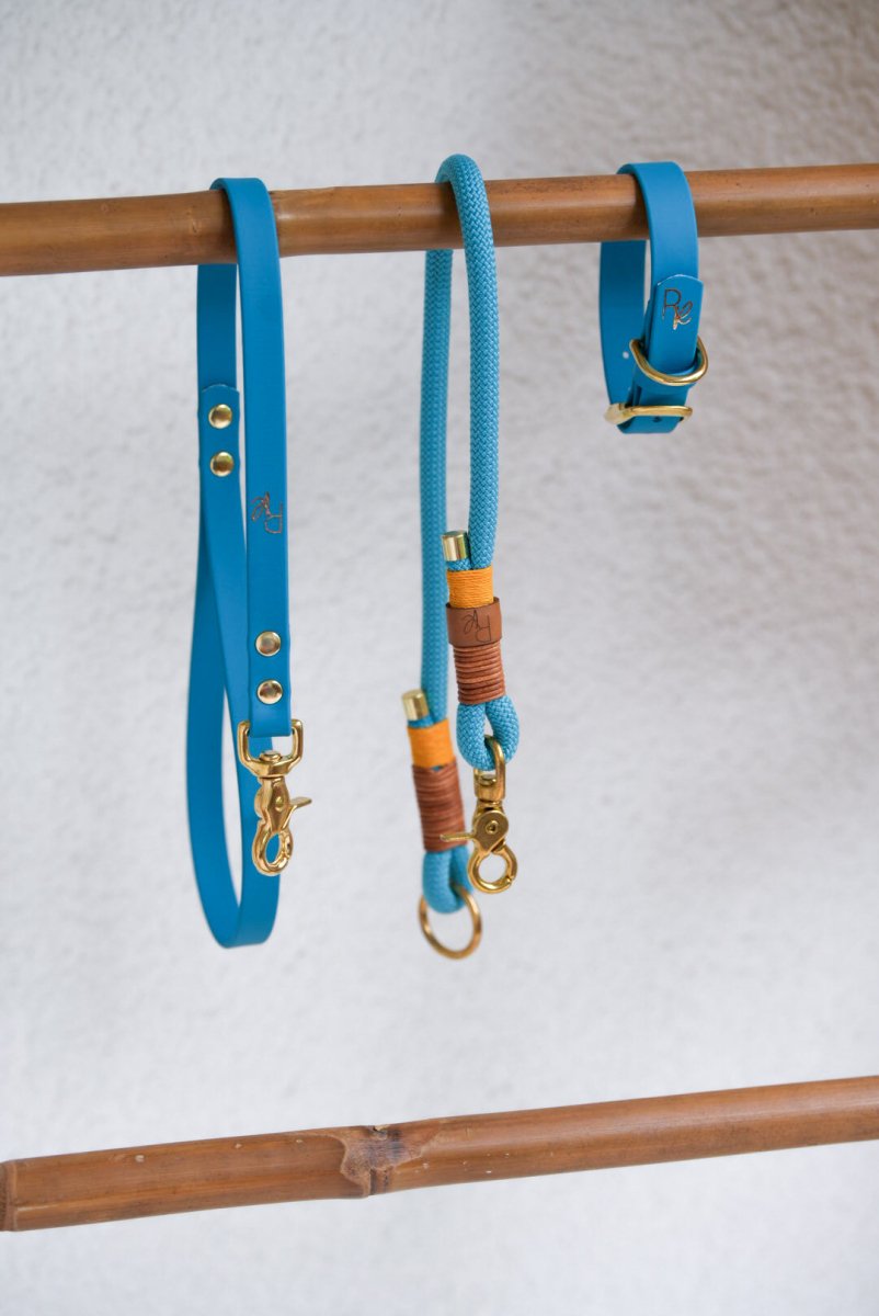Mix & Match Set | Handschlaufe + Halsband Biothane & Unterteil Tauseil | COLOUR CLASH - RudisRudel