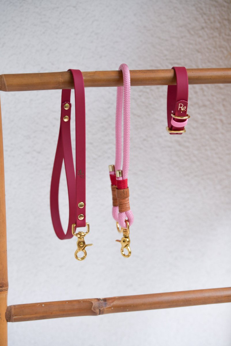 Mix & Match Set | Handschlaufe + Halsband Biothane & Unterteil Tauseil | COLOUR CLASH - RudisRudel
