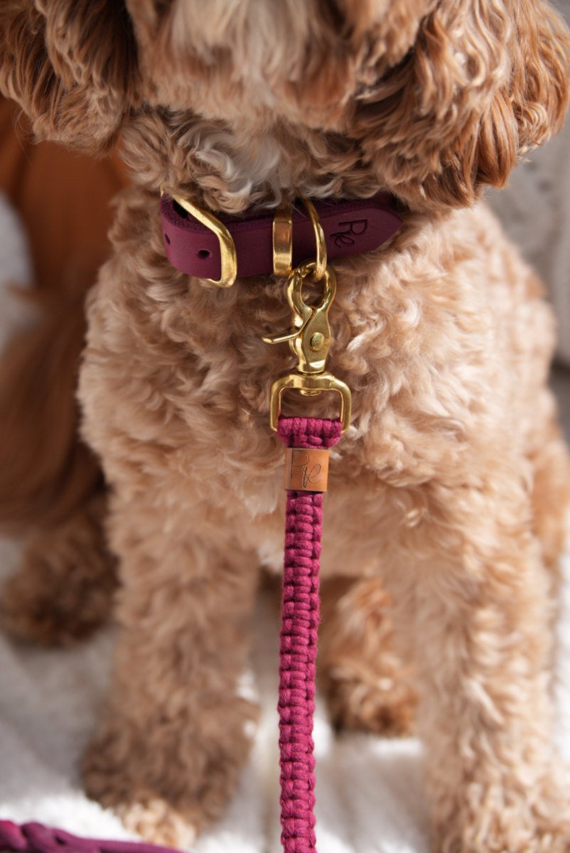 Mix & Match Set | Handschlaufe + Halsband Fettleder & Unterteil Makramee | BOHO CHIC - RudisRudel