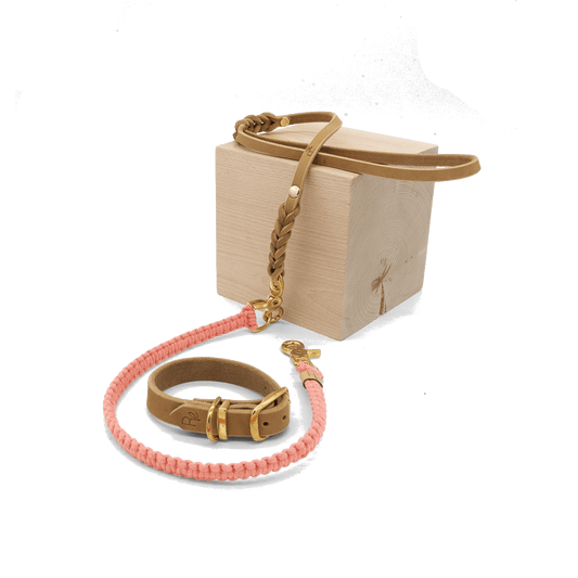 Mix & Match Set | Handschlaufe + Halsband Fettleder & Unterteil Makramee | PASTEL DREAMS - RudisRudel