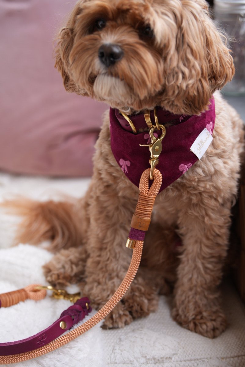 Mix & Match Set | Handschlaufe + Halsband Fettleder & Unterteil Tauseil | BOHO CHIC - RudisRudel