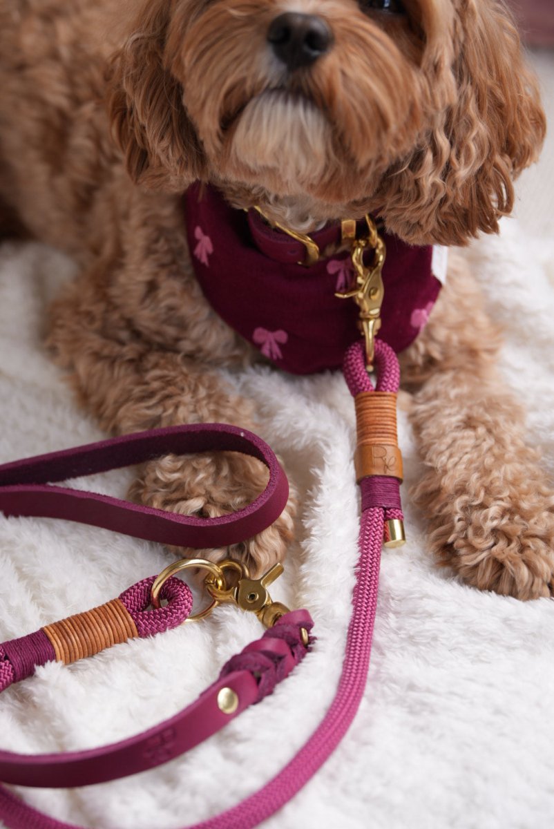 Mix & Match Set | Handschlaufe + Halsband Fettleder & Unterteil Tauseil | BOHO CHIC - RudisRudel