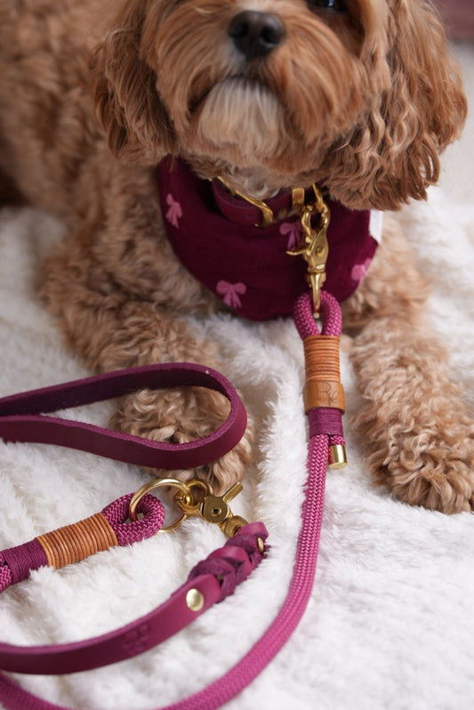 Mix & Match Set | Handschlaufe + Halsband Fettleder & Unterteil Tauseil | BOHO CHIC - RudisRudel