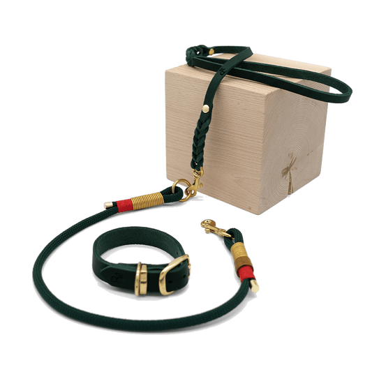 Mix & Match Set | Handschlaufe + Halsband Fettleder & Unterteil Tauseil | CHRISTMAS EDITION GREEN - RudisRudel