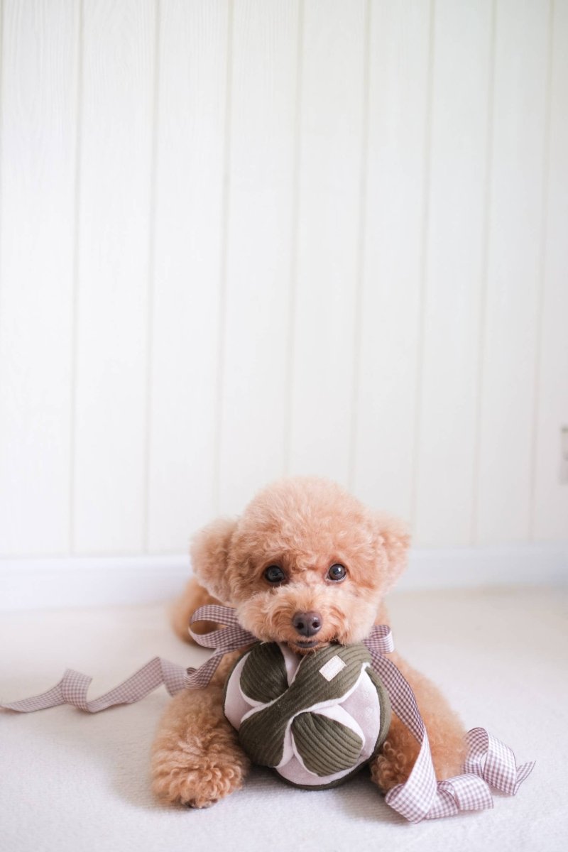 MONTI | Schnüffelball rosa - RudisRudel