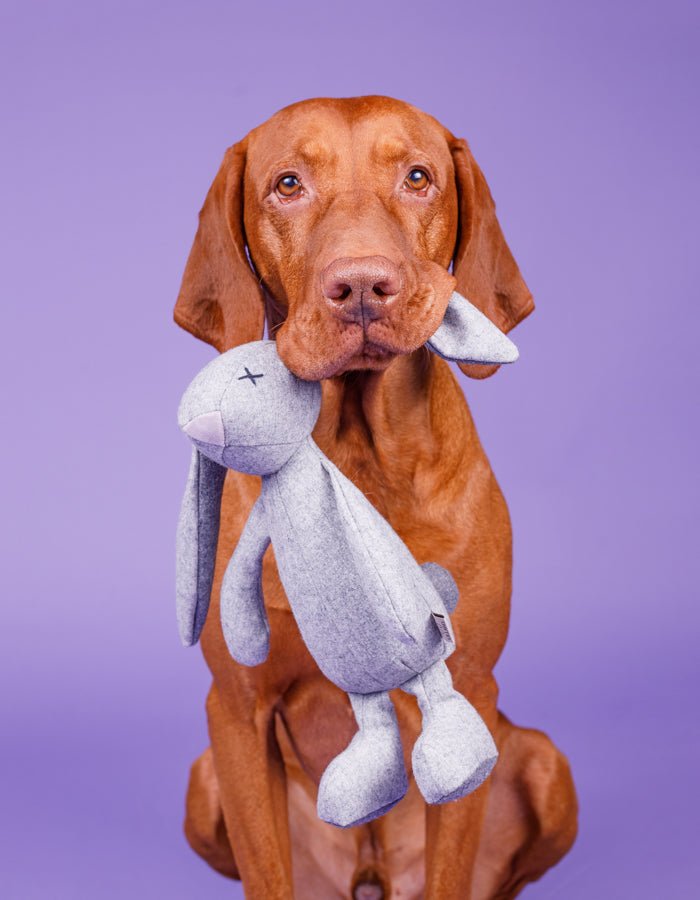 RUPERT | Hundespielzeug - RudisRudel