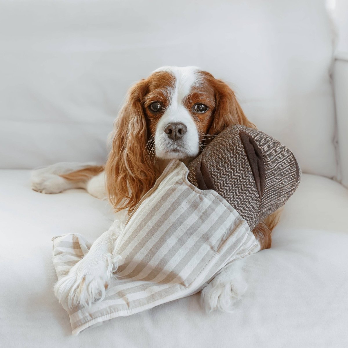 RYE | Schnüffelspielzeug - RudisRudel