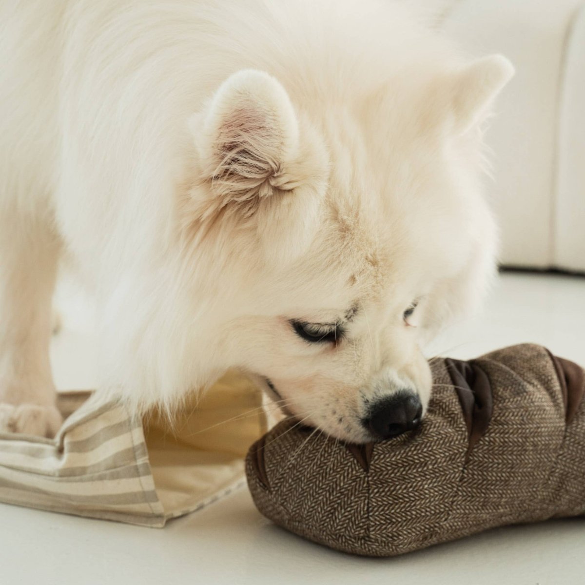 RYE | Schnüffelspielzeug - RudisRudel