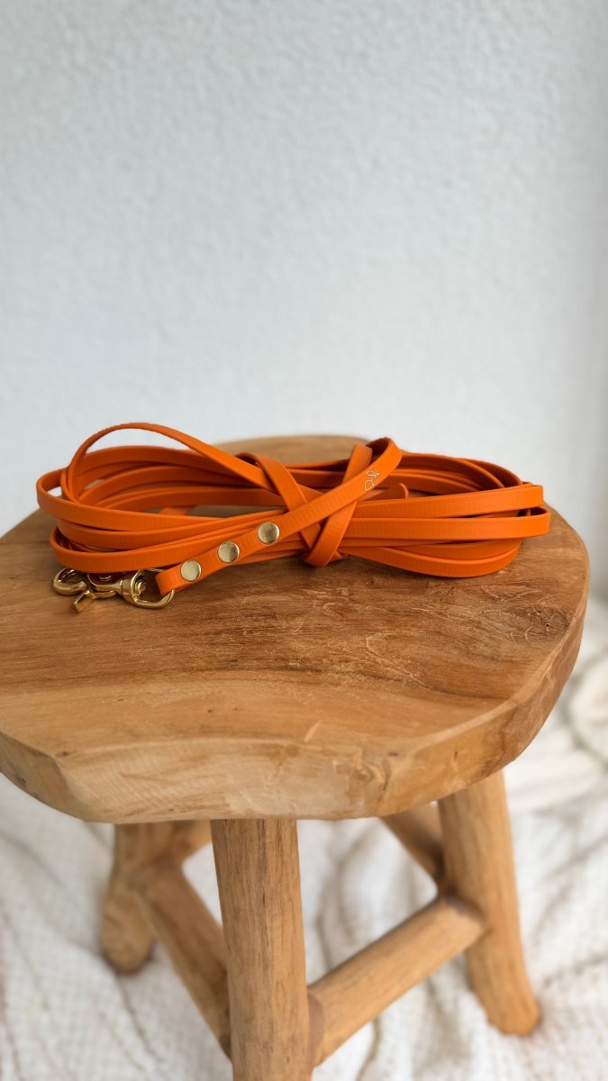 Schleppleine aus Biothane 5m lang | COLOUR CLASH COLLECTION - RudisRudel