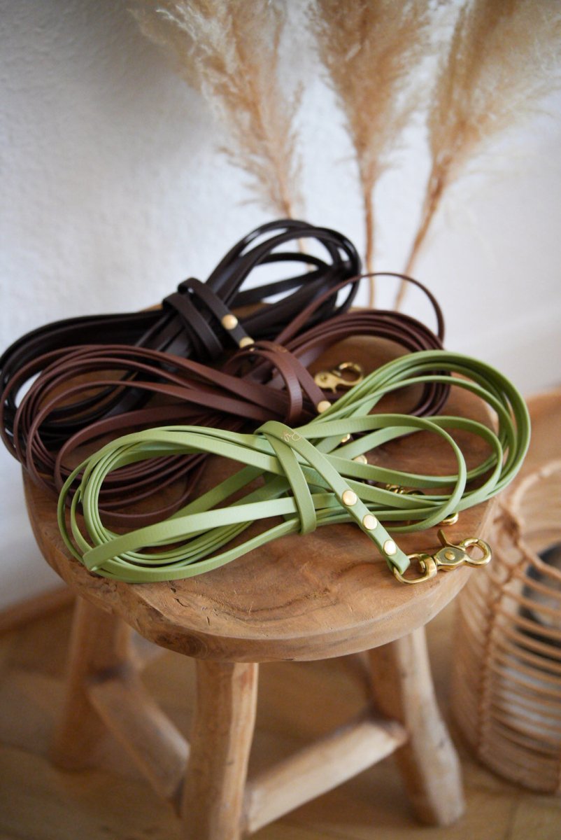 Schleppleine aus Biothane | BOHO CHIC - RudisRudel