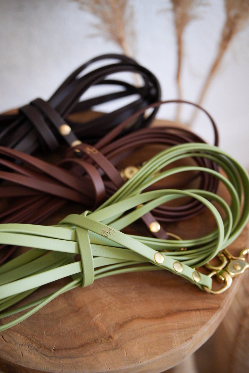 Schleppleine aus Biothane | BOHO CHIC - RudisRudel