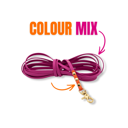 Schleppleine aus Biothane | COLOUR MIX | ALL COLLECTIONS - RudisRudel