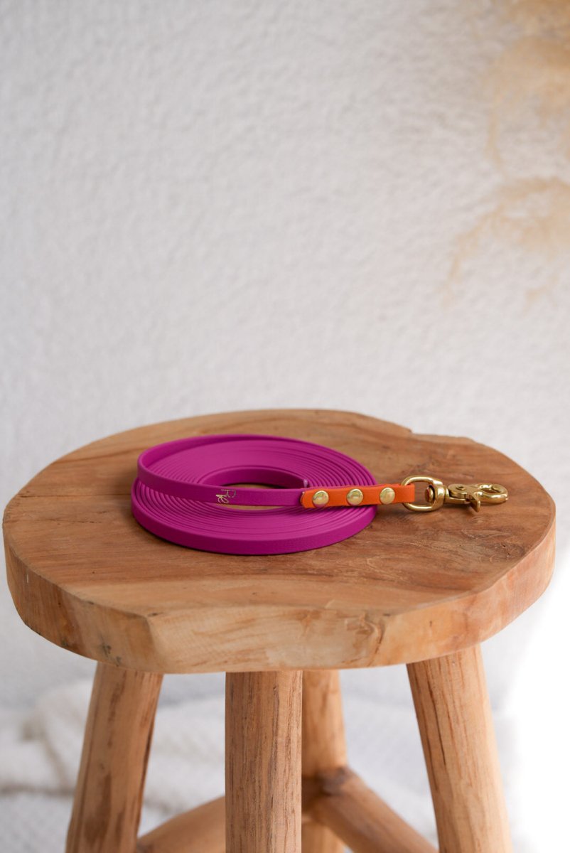 Schleppleine aus Biothane | COLOUR MIX | ALL COLLECTIONS - RudisRudel