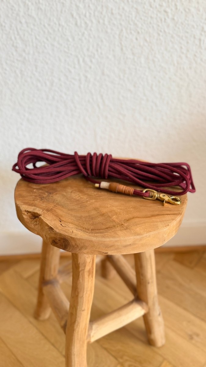Schleppleine aus Paracord 5m lang | BOHO CHIC COLLECTION - RudisRudel
