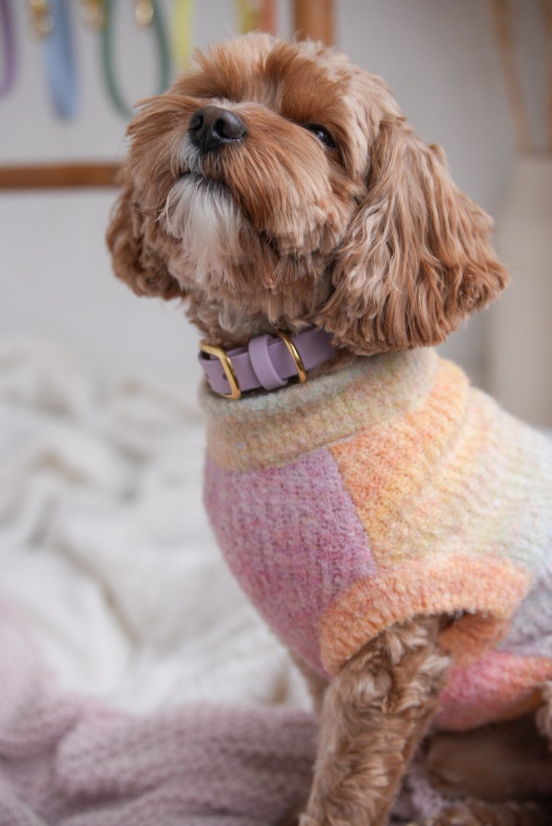 SUNSET | Strickpullover für Hunde - RudisRudel