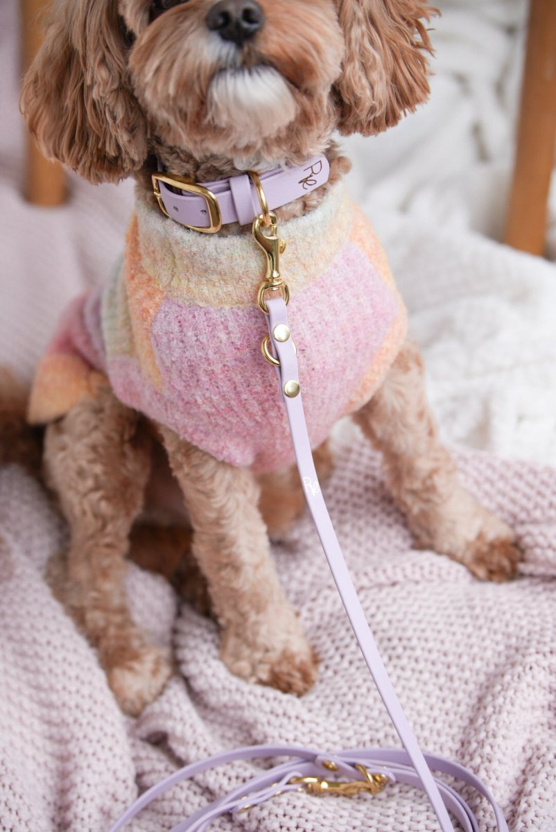 SUNSET | Strickpullover für Hunde - RudisRudel