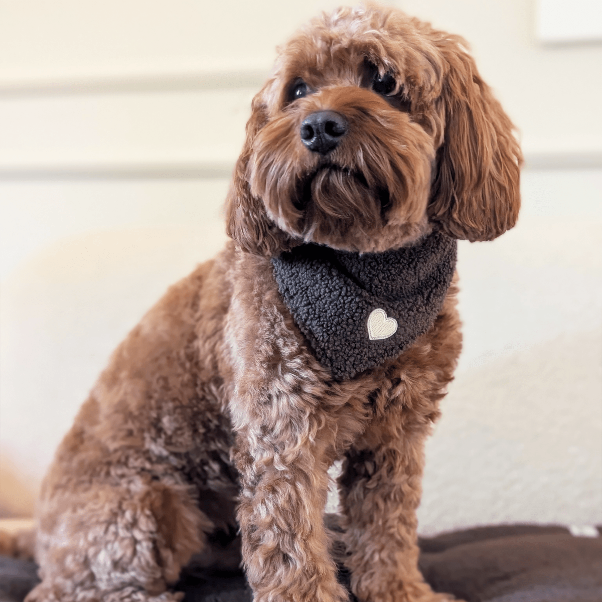 TEDDY HEART | Wendehalstuch mit Herzpatch - RudisRudel