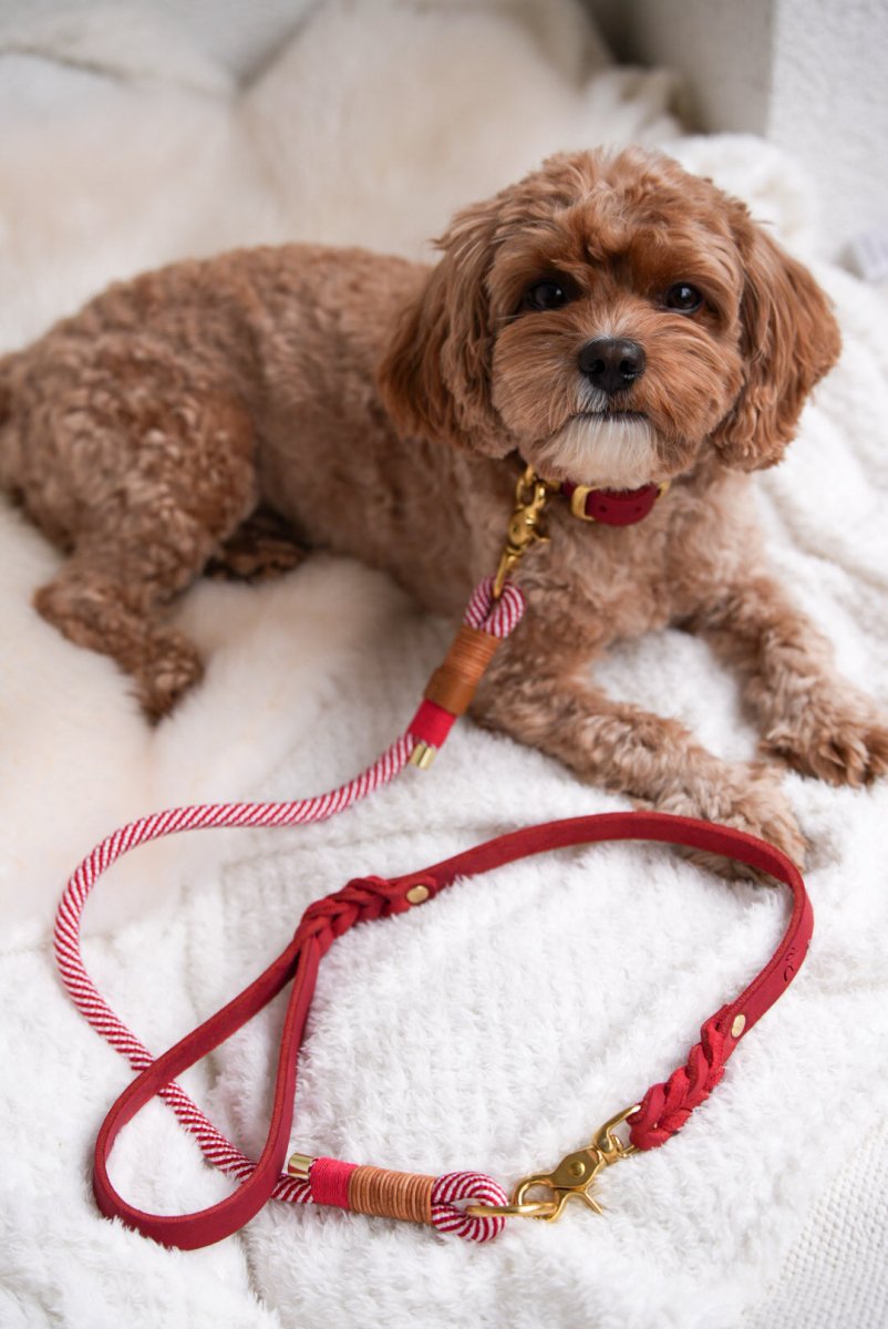 Unterteil aus Tauseil | CHRISTMAS EDITION RED - RudisRudel