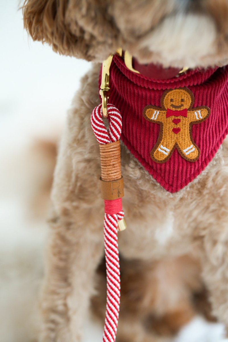 Unterteil aus Tauseil | CHRISTMAS EDITION RED - RudisRudel