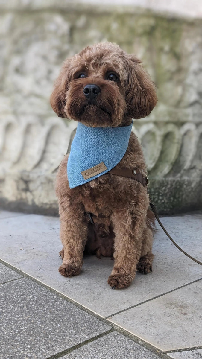 URBAN SOUL | Wendehalstuch jeansblau - RudisRudel