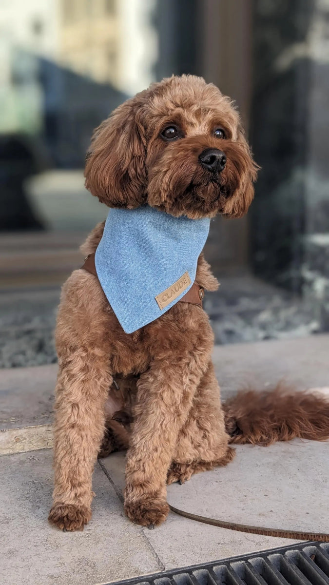 URBAN SOUL | Wendehalstuch jeansblau - RudisRudel