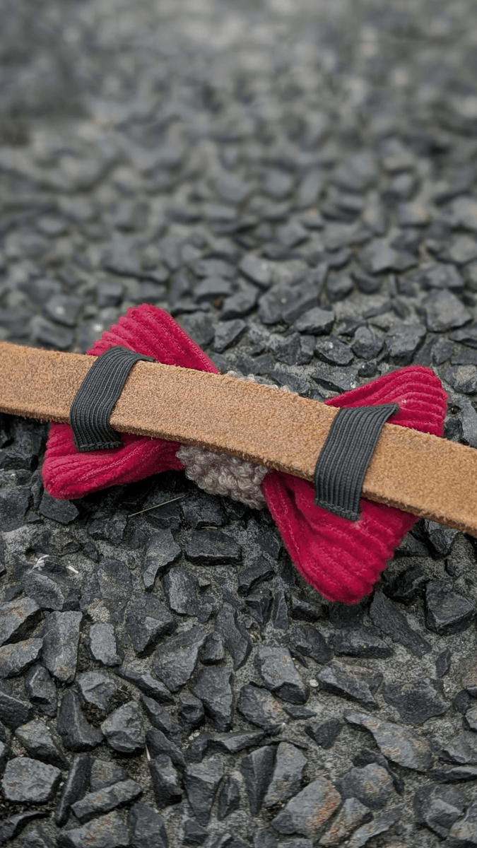 WINTER WISH | Hundefliege CHRISTMAS EDITION - RudisRudel