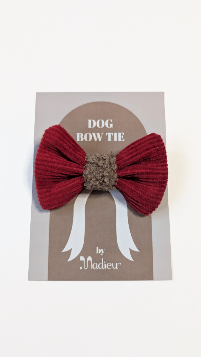 WINTER WISH | Hundefliege CHRISTMAS EDITION - RudisRudel