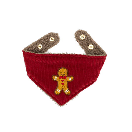 WINTER WISH | Wendehalstuch CHRISTMAS EDITION - RudisRudel