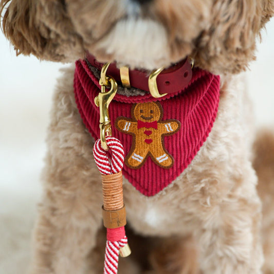 WINTER WISH | Wendehalstuch CHRISTMAS EDITION - RudisRudel