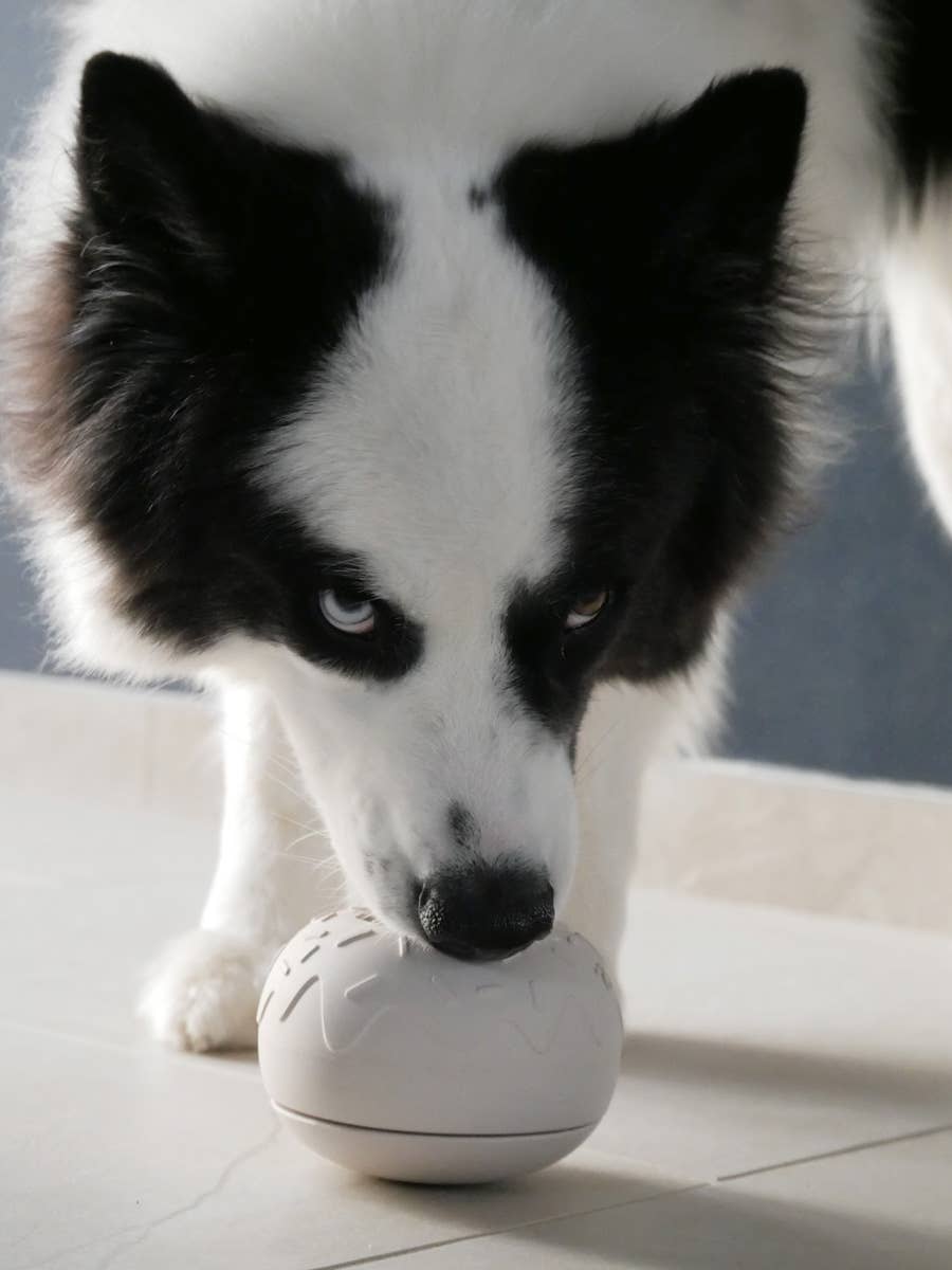 YOOMY DONUT | Beschäftigungsspielzeug, nude - RudisRudel