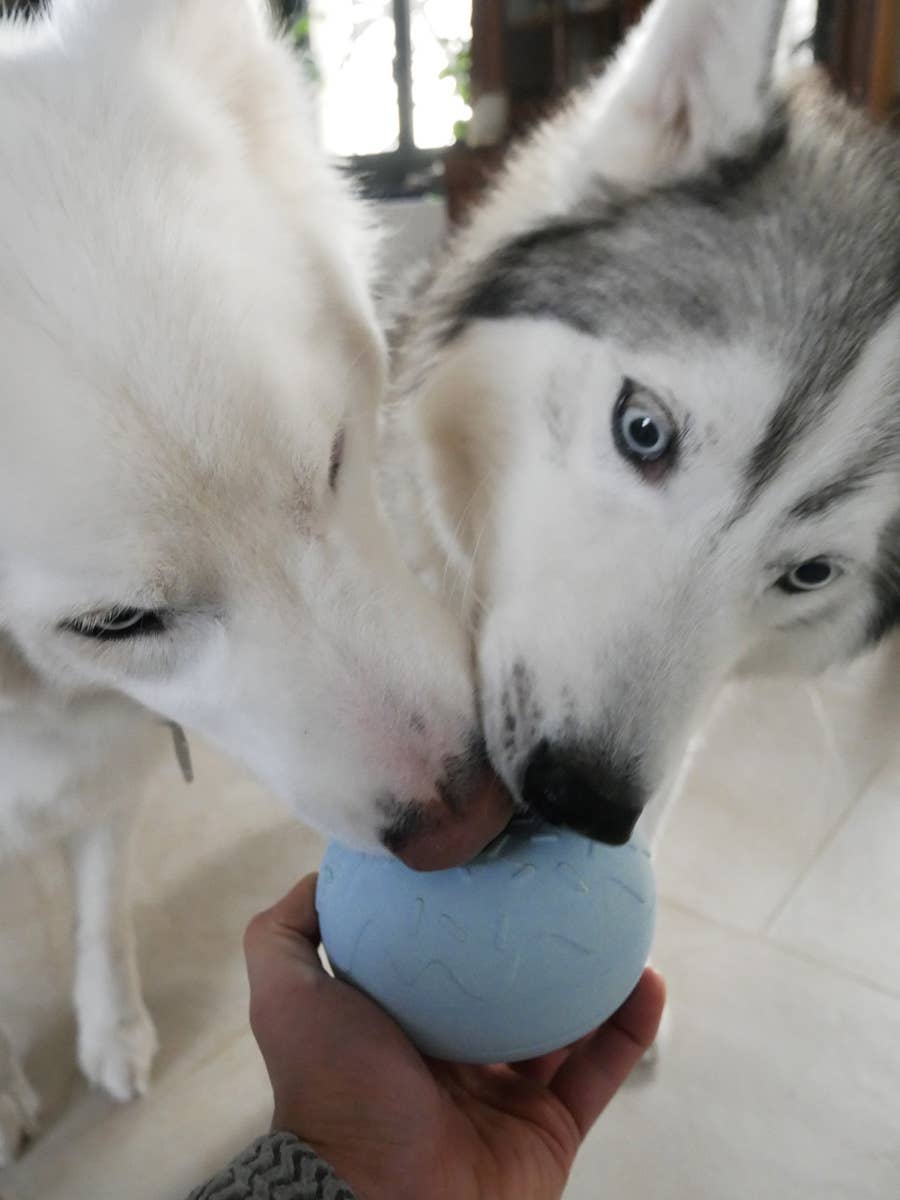 YOOMY DONUT | Beschäftigungsspielzeug, pastellblau - RudisRudel