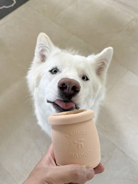 YOOMY POT | Beschäftigungsspielzeug, nude - RudisRudel