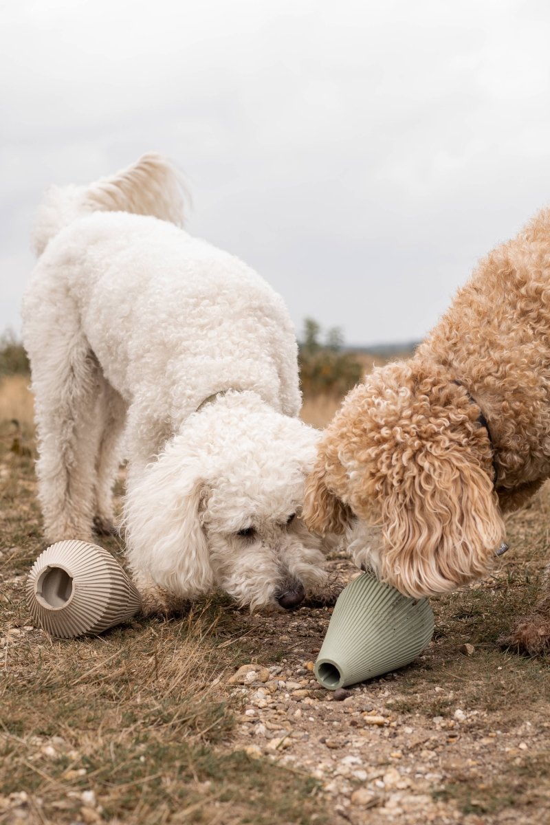 YUME | Beschäftigungsspielzeug - RudisRudel