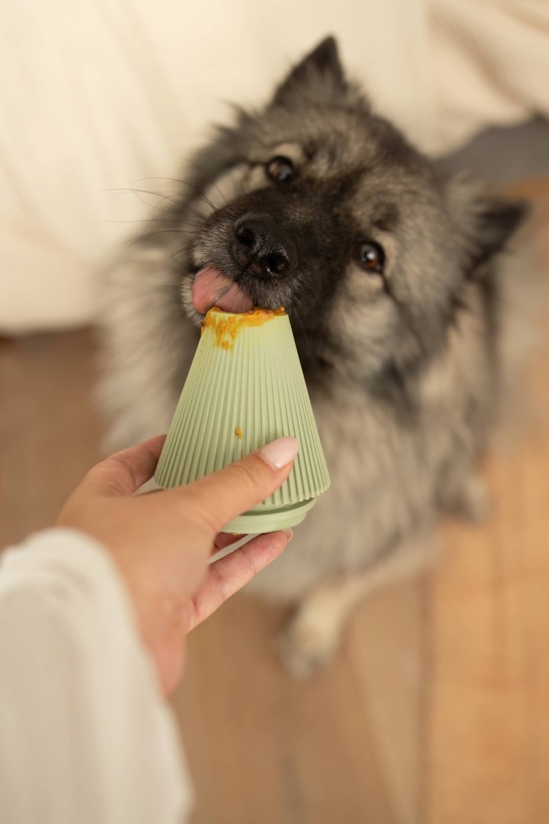 YUME | Beschäftigungsspielzeug - RudisRudel