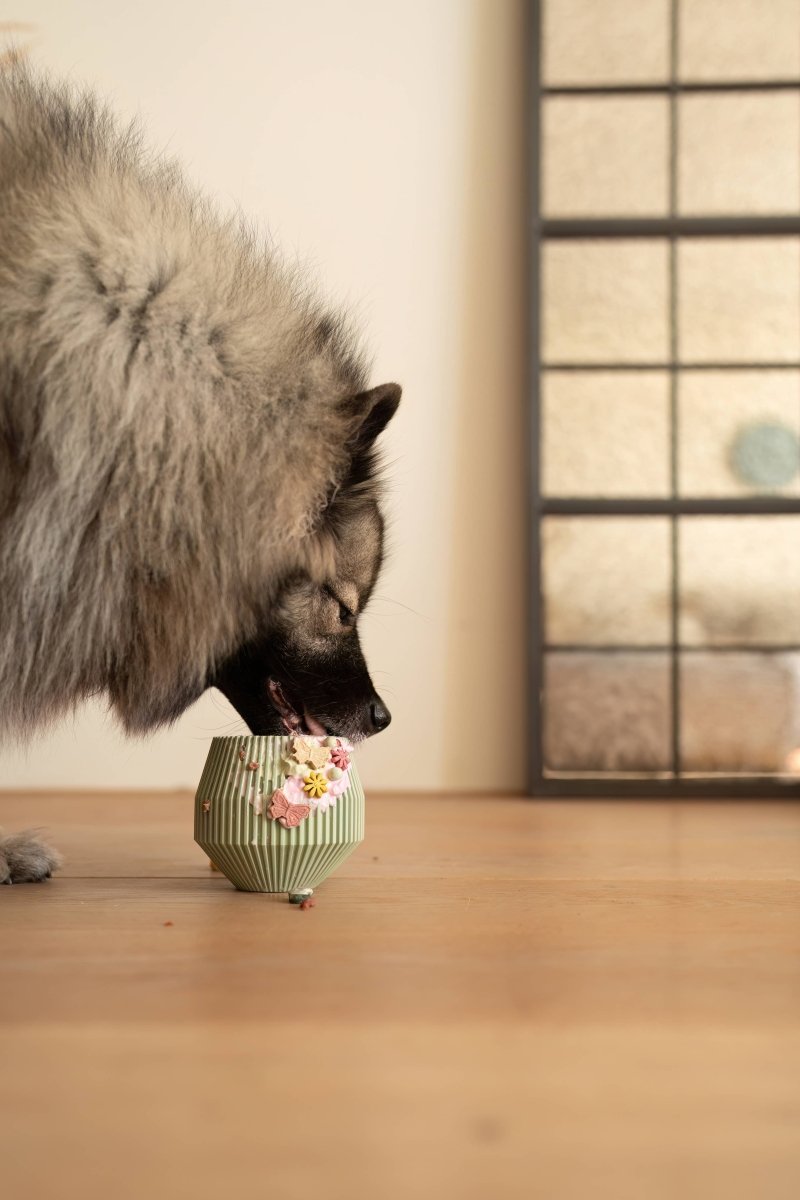 YUME | Beschäftigungsspielzeug - RudisRudel